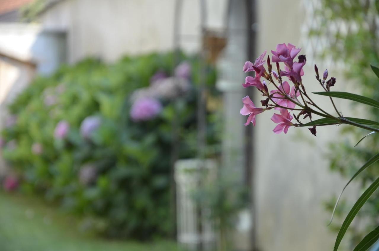 Holiday home Albero Della